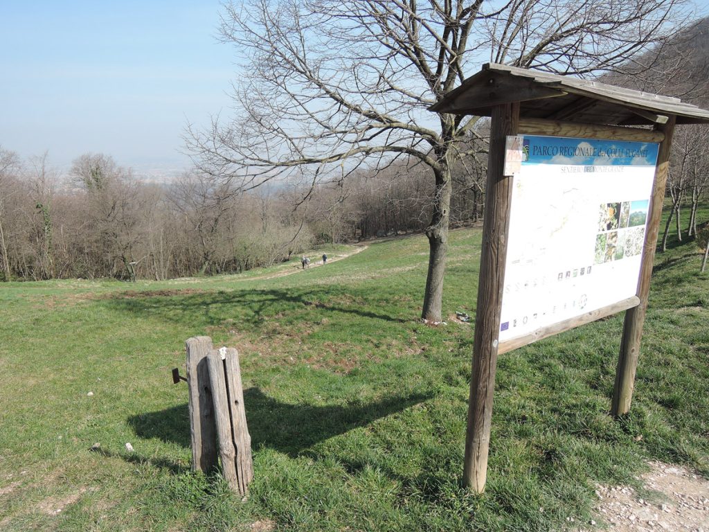 Beginning of the path