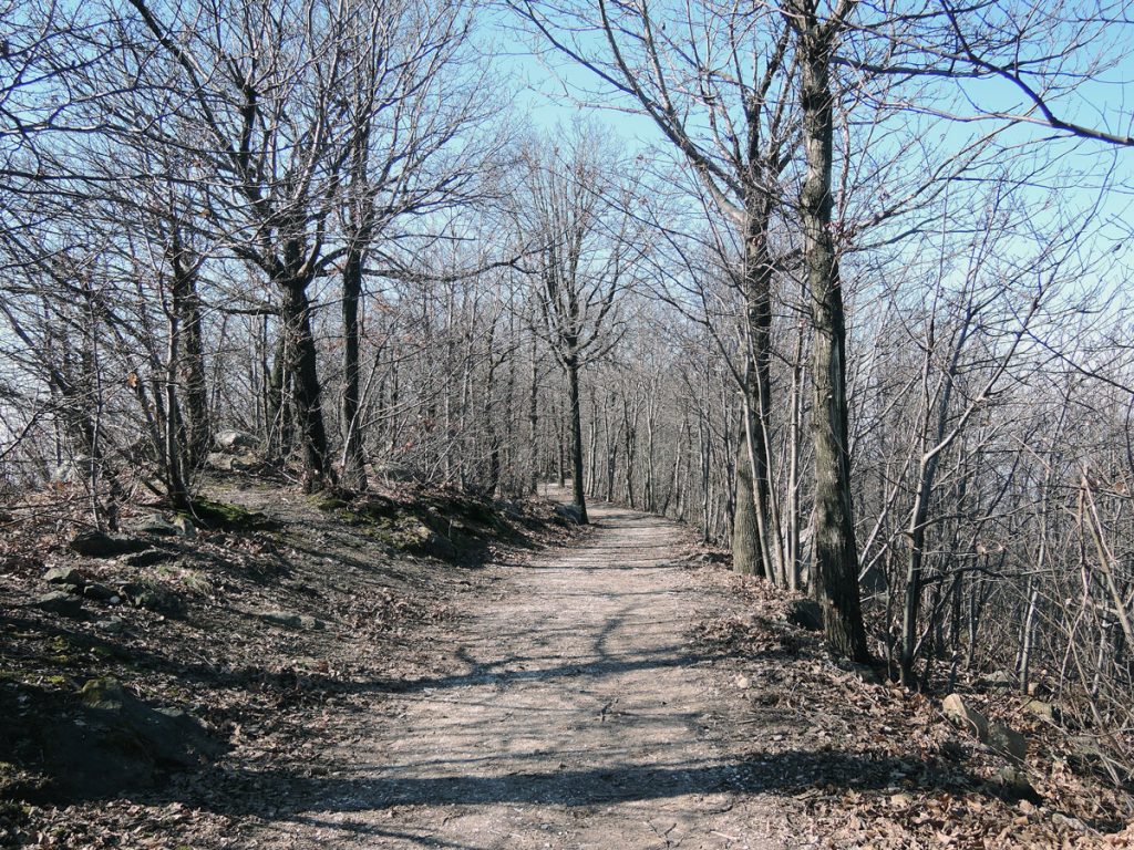 Path