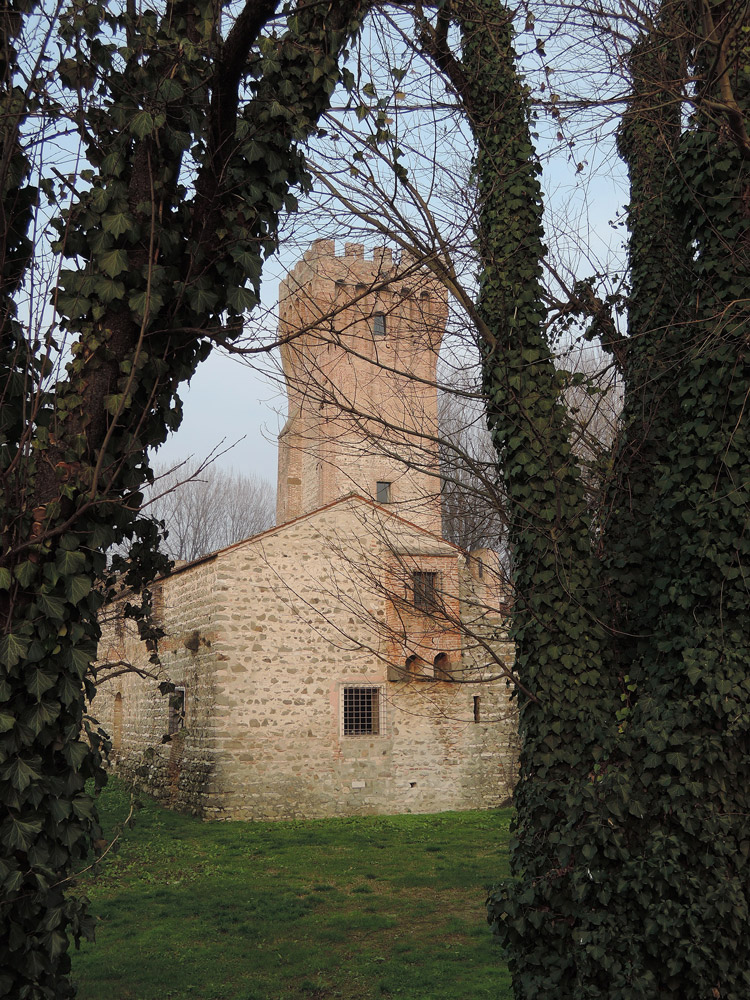 Castle of San Martino and trees