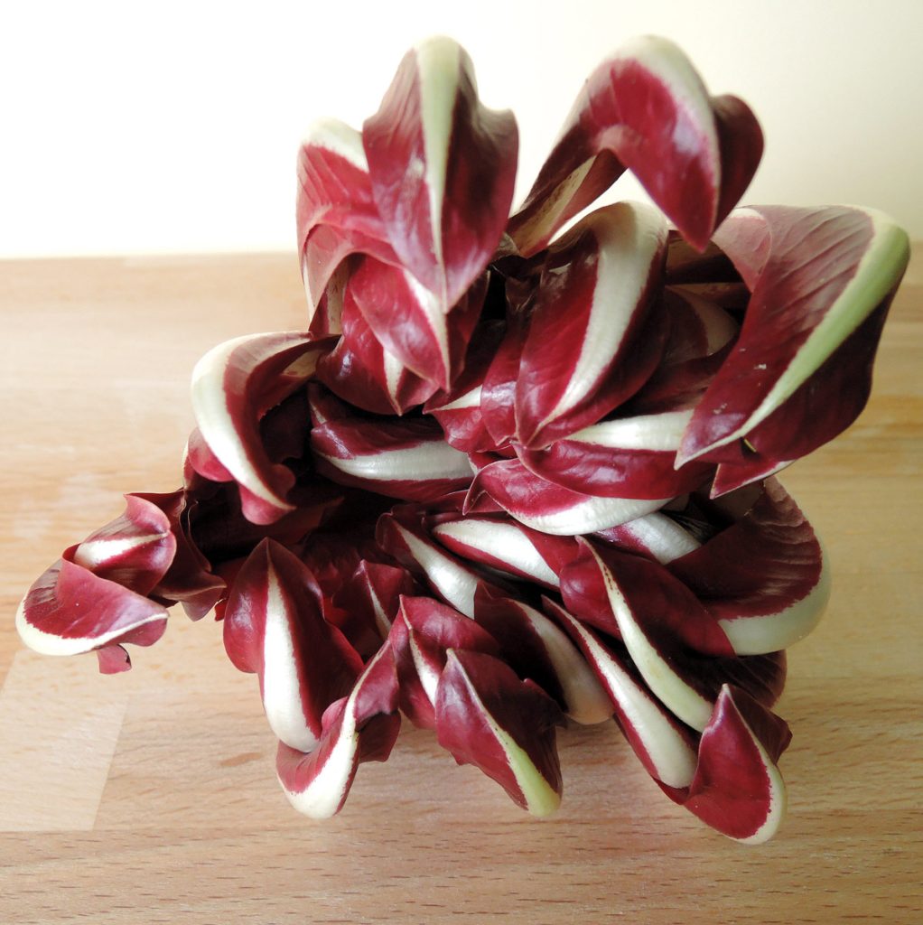 radicchio like a flower