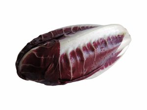 Early Red Radicchio form Treviso, Italian radicchio