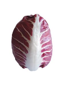 Red Radicchio form Verona, Italian radicchio