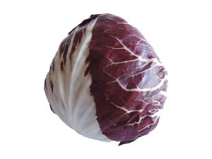 Red Radicchio form Chioggia, Italian radicchio