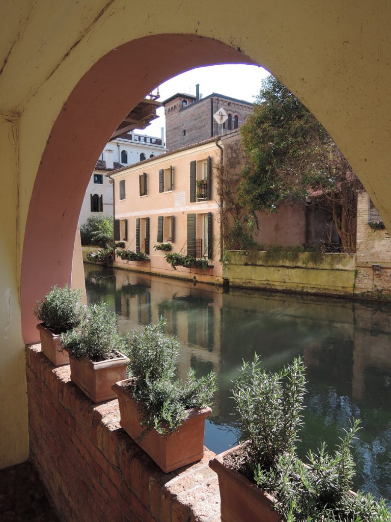 Buranelli, Treviso