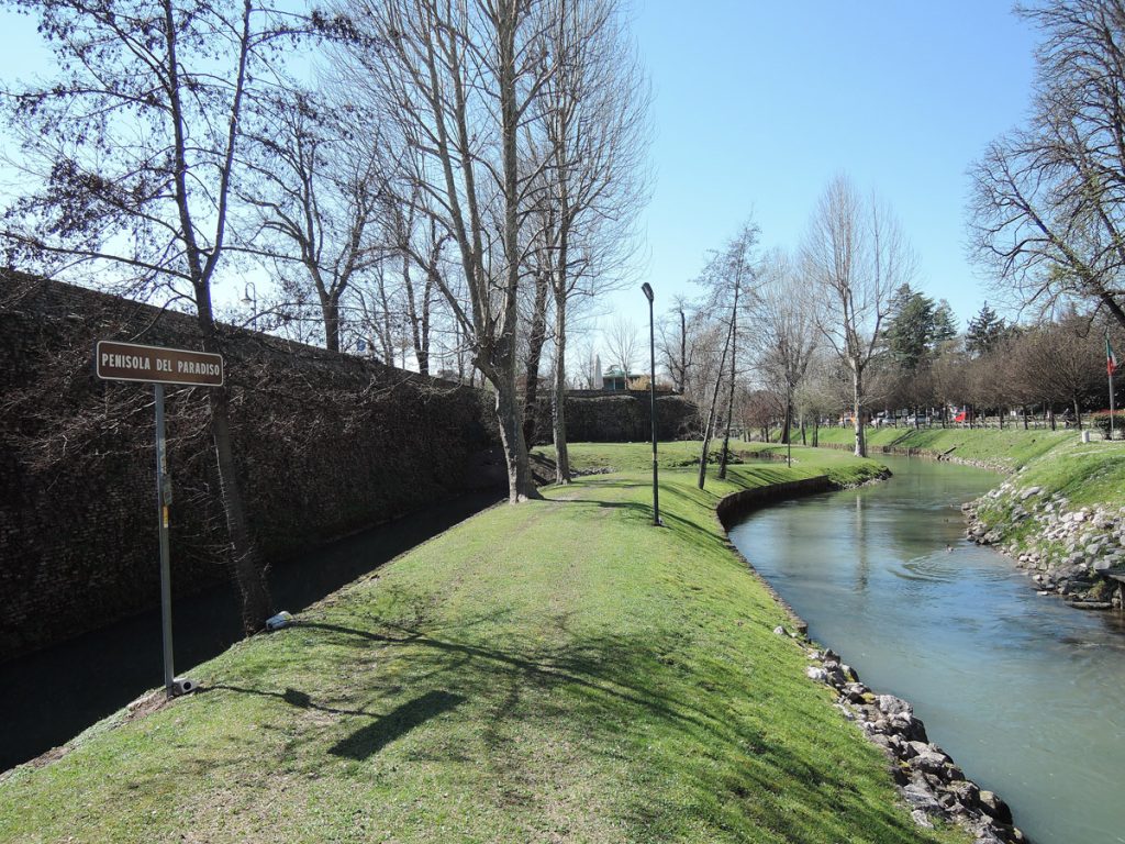Treviso Walls