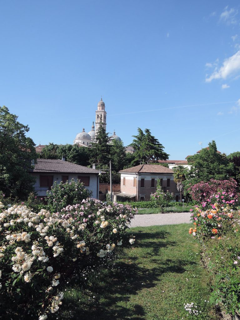 Santa Giustina Rose Garden