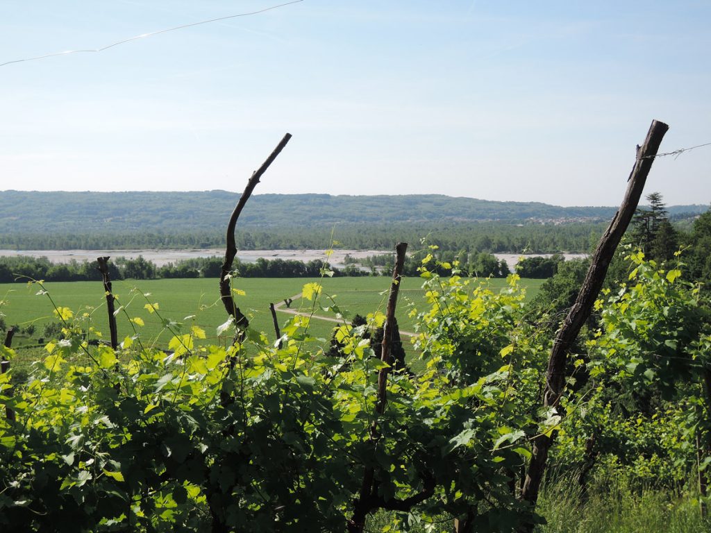 Along the Piave river World War 1 frontline