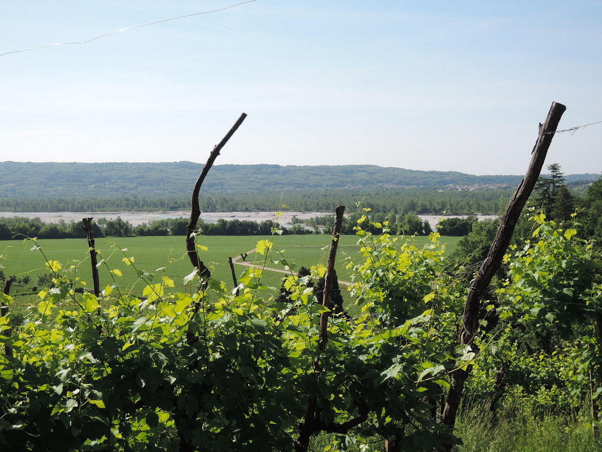 Along the Piave river World War 1 frontline