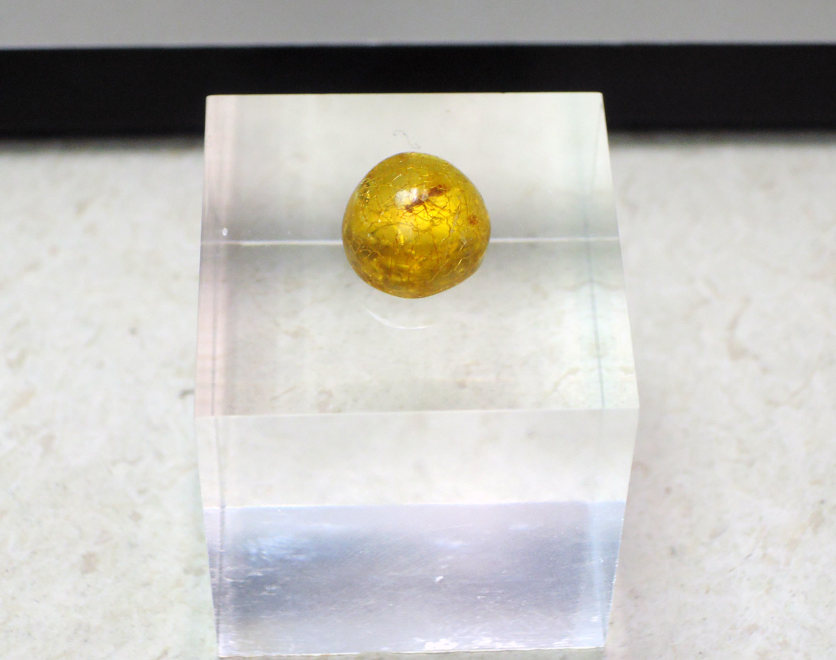 Amber with insect, Cava Bomba