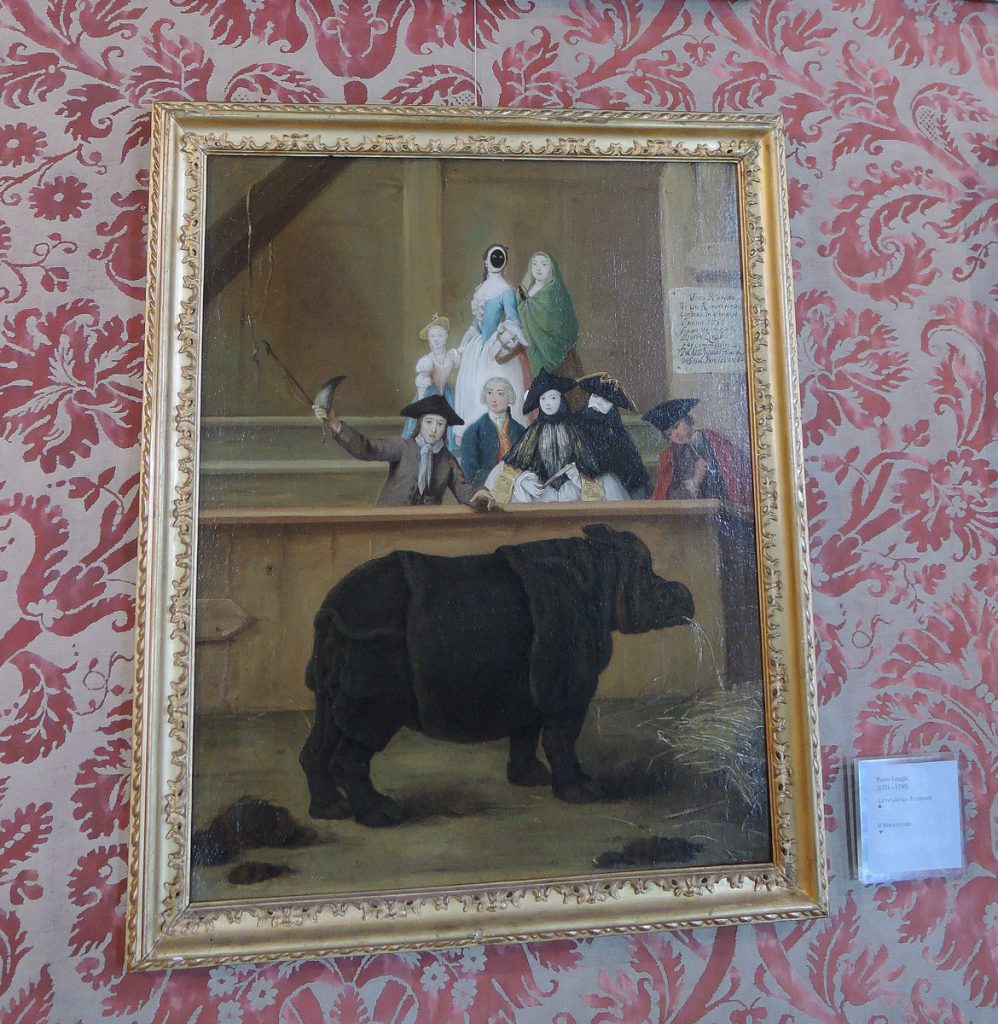 The rhinoceros