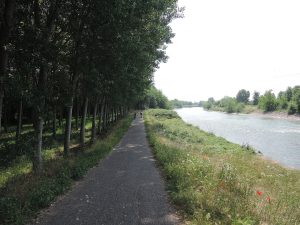Trees and river, Peschiera Mantova