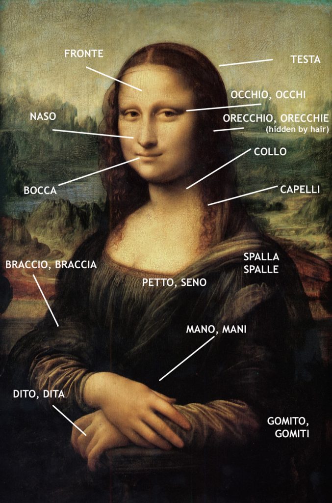 Upper body parts in Italian, pic by commons.wikimedia.org