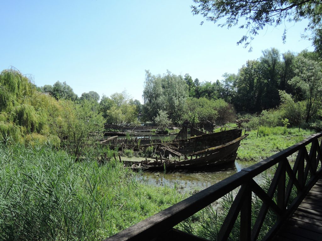 Boats cemetery