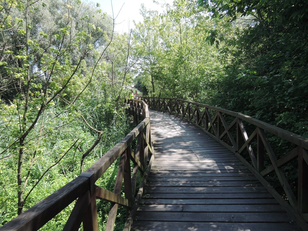 The boardwalk