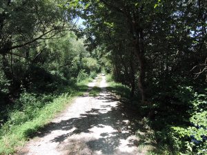 Gravel path