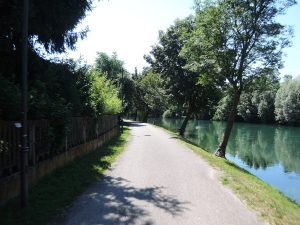 The beginning of the path