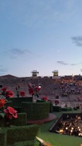 Arena, Roses and Moon