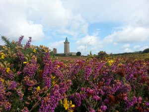 Cap Fréhel