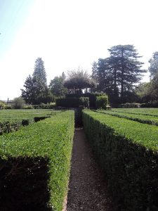 Maze, Valsanzibio Gardens