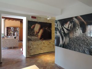 Burano Lace Museum