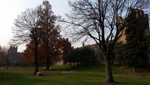 Lazise walls