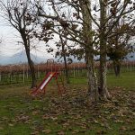 La Tavolozza, Torreglia