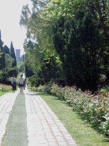 Roses Avenue