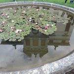 Reflection