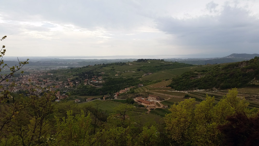 Panorama
