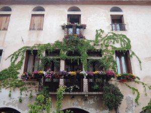 The beautiful balcony