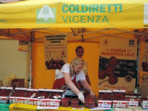 Selling cherries