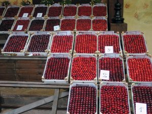 Cherries