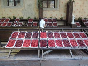 Marostica cherry festival