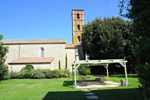 The garden