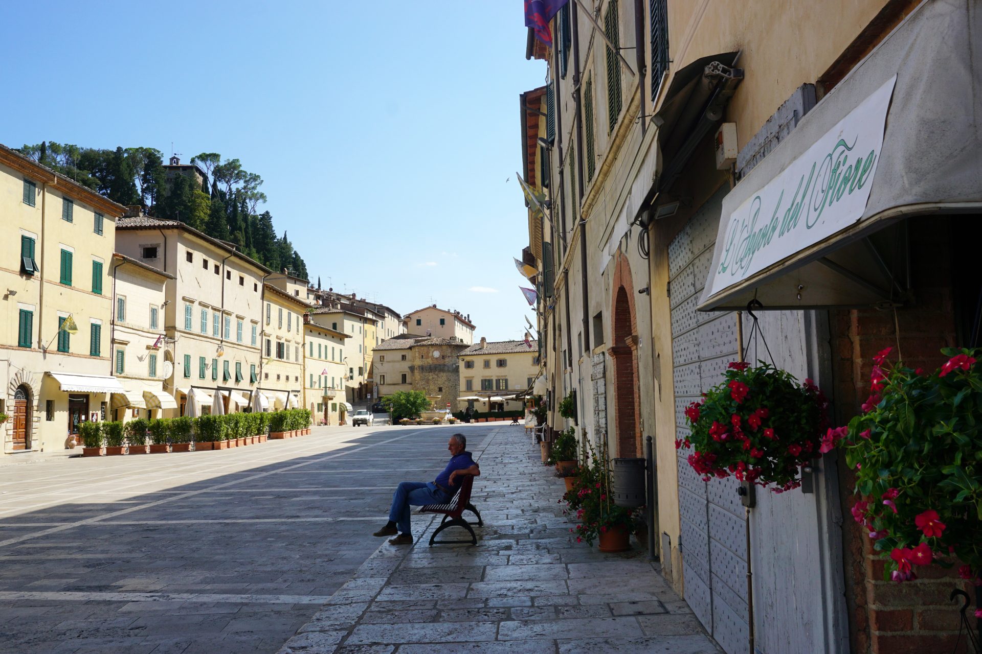 Cetona: 7 sleeping cats and a gold medal