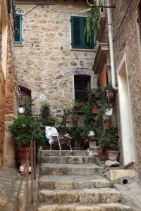 Sleeping cat, Cetona