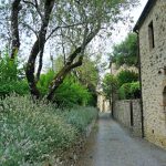 A street in Fighine