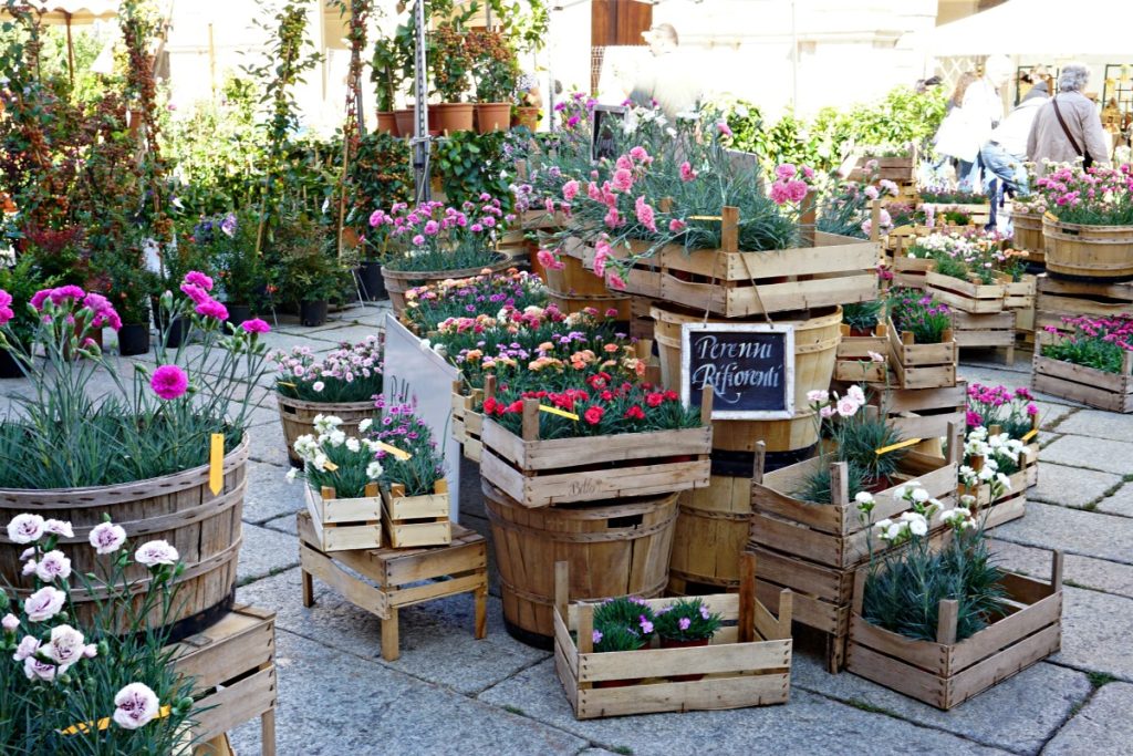Flowers corner