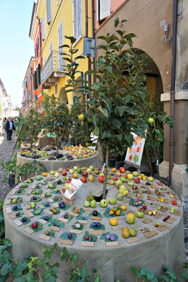 Ancient Fruits, Piante e Animali Perduti
