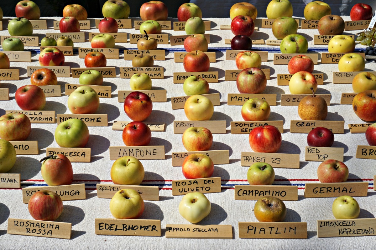 Ancient Fruits, Piante e Animali Perduti