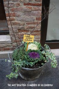 I loved this sign