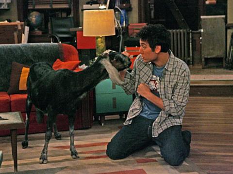Ted and the goat ©How I met your mother wikia