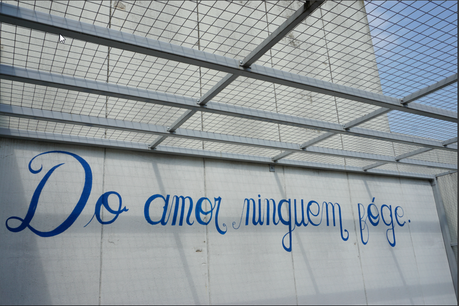Do amor ninguem fòge