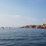 Pellestrina