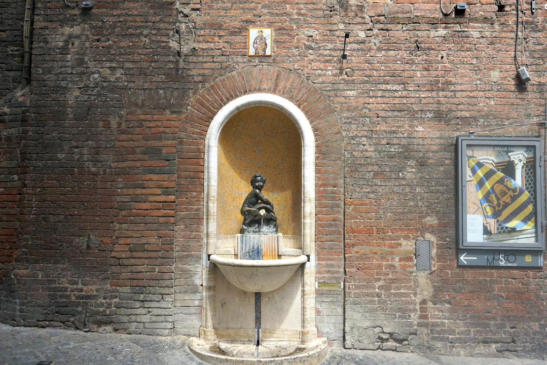Tartuca Fountain