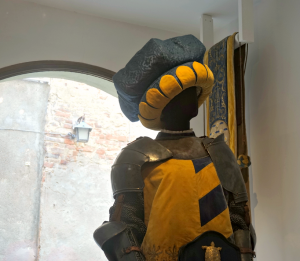 One of the Tartuca costumes