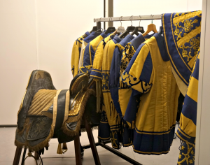 Tartuca costumes and saddle