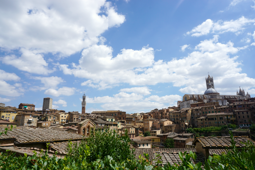 Panoramic view of Siena