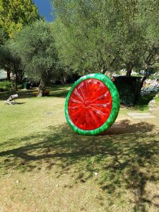 The giant watermelon