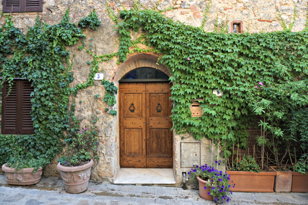 Beautiful door